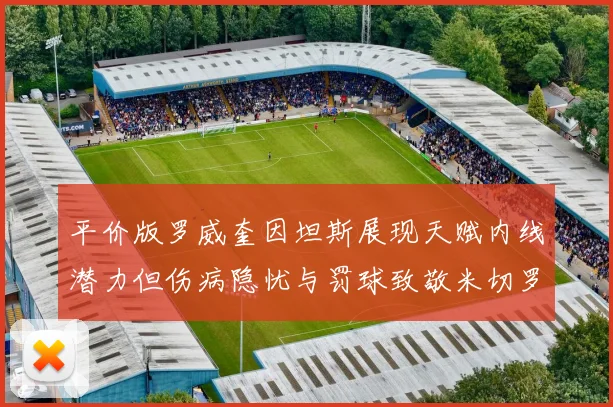 平价版罗威奎因坦斯展现天赋内线潜力但伤病隐忧与罚球致敬米切罗