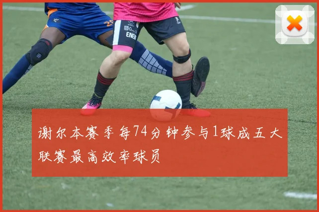 谢尔本赛季每74分钟参与1球成五大联赛最高效率球员