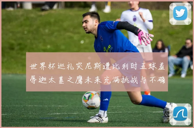 世界杯巡礼突尼斯遭比利时五球羞辱迦太基之鹰未来充满挑战与不确定性