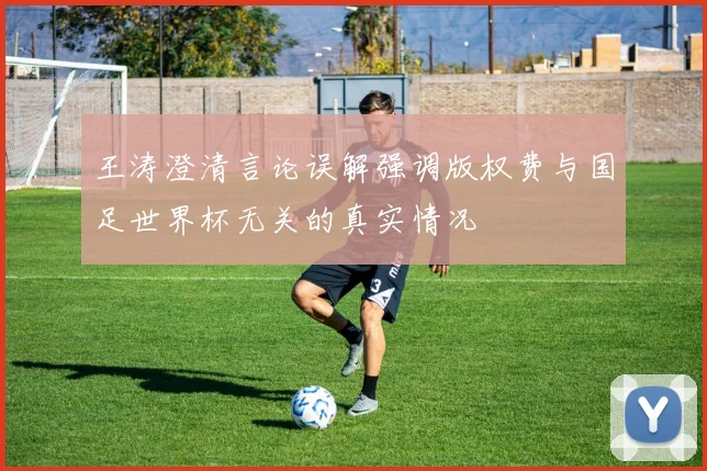 王涛澄清言论误解强调版权费与国足世界杯无关的真实情况