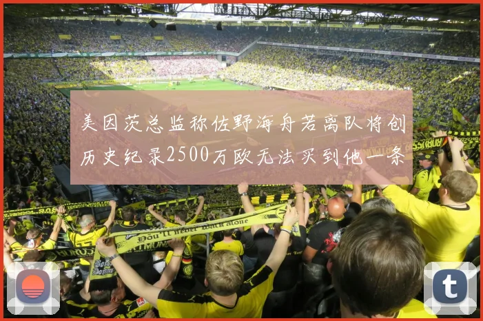 美因茨总监称佐野海舟若离队将创历史纪录2500万欧无法买到他一条腿